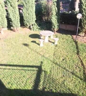 Img 1831
